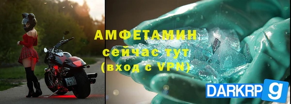 ГАЛЛЮЦИНОГЕННЫЕ ГРИБЫ Ладушкин