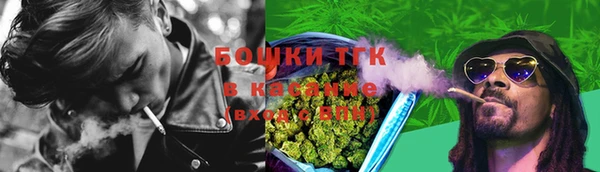ГАЛЛЮЦИНОГЕННЫЕ ГРИБЫ Абаза