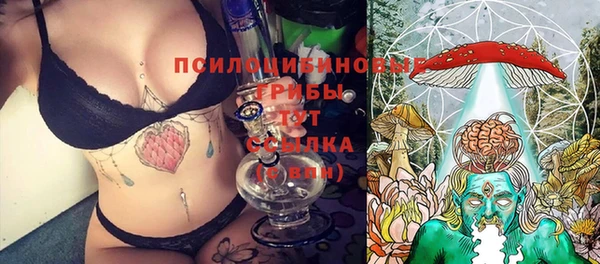 apvp Лабытнанги