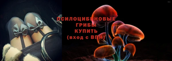 apvp Лабытнанги