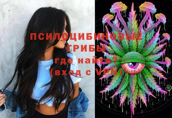 ГАЛЛЮЦИНОГЕННЫЕ ГРИБЫ Абаза